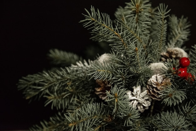 Christmas composition of fir branches and cones on the black