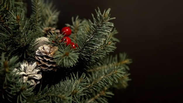 Christmas composition of fir branches and cones on the black