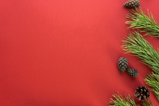 Christmas composition. Fir tree branches on red background. Flat lay, top view, copy space