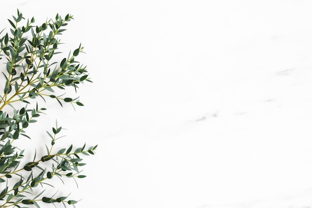 Christmas composition Fir tree branches red decorations on gray background Flowers composition White and purple flowers on marble background Eucalyptus leaves winter top view Christmas gift