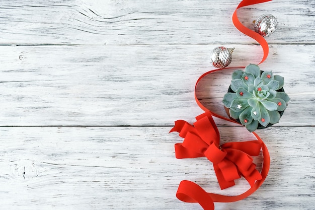 Christmas composition, mockup with green succulent plant, red ribbon and silver Christmas 