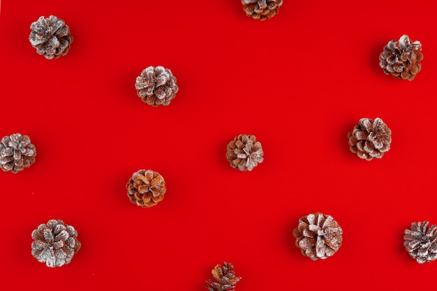 Christmas composition on red background with pine cones