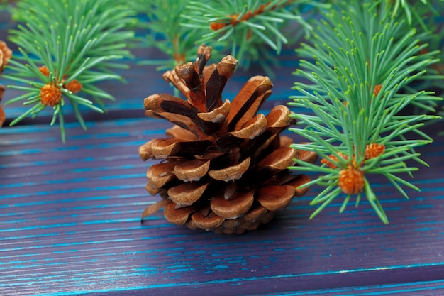 Christmas composition with fir tree branches on wooden background.