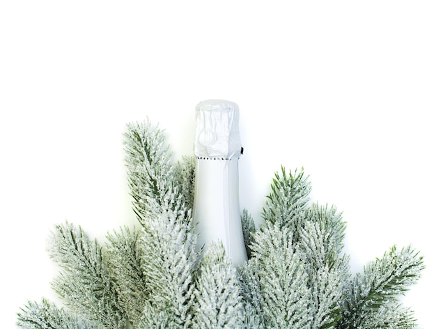 Christmas concept Sparkling wine bottle and green Xmas tree branch isolated on white