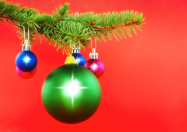 Christmas decoration-colour balls on fir branches on red background .