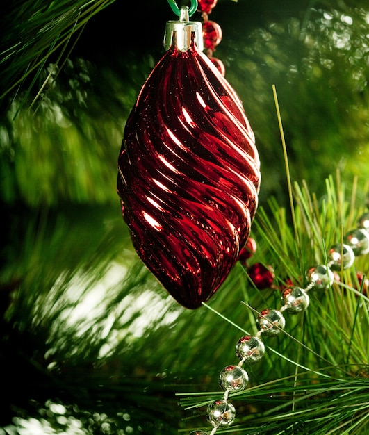 Christmas decoration on green tree. 