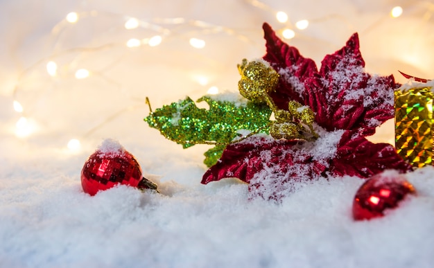 Christmas decoration poinsettia on the snow