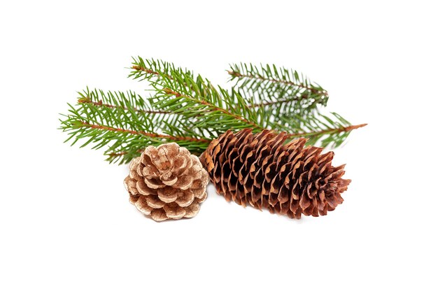 Christmas decorations from cones and branches of a Christmas tree