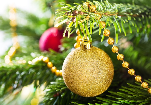 Christmas decorations : gold  ball hanging on branch of fir tree.