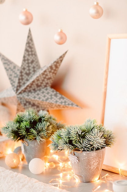 Christmas decorations for the home. fir in pots on a star background. selective focus