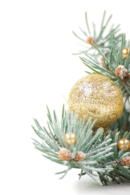 Christmas decorations with branch of Christmas tree on white background