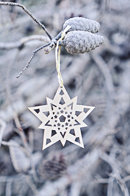 Christmas decorative wooden snowflake on branch