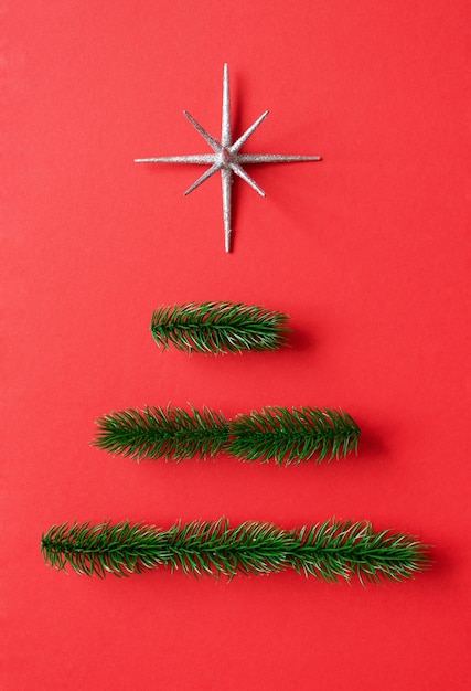 Christmas fir branches and decor star