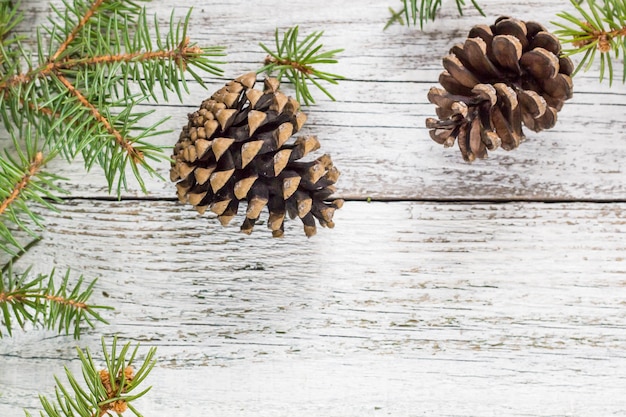 Christmas fir branches with cones