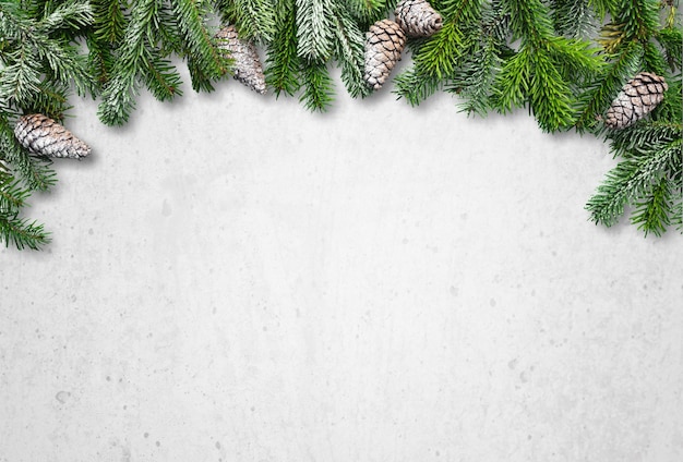 Christmas fir tree branch covered by snow on stone background.