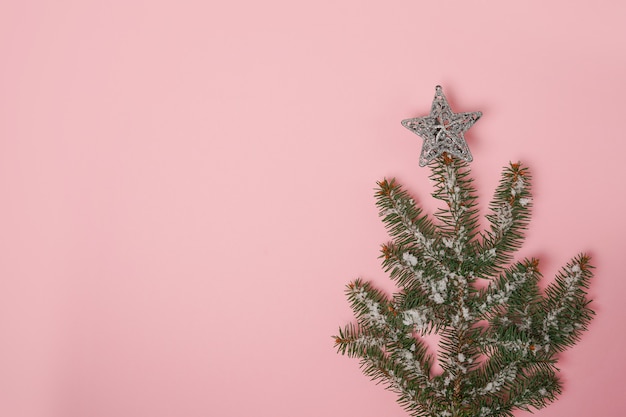 Christmas fir tree on pastel pink background. Christmas, winter, new year concept. copy space