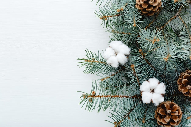 Christmas frame fir tree branches cotton bumps on white background copy space. Zero waste Xmas