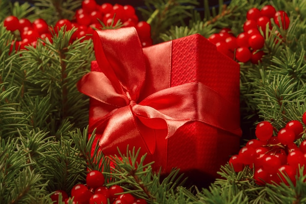 Christmas gift in a red gift box with a coral ribbon immersed in the needles of a Christmas tree.