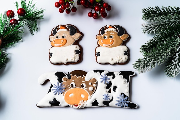 Christmas Gingerbread on white background Flat lay