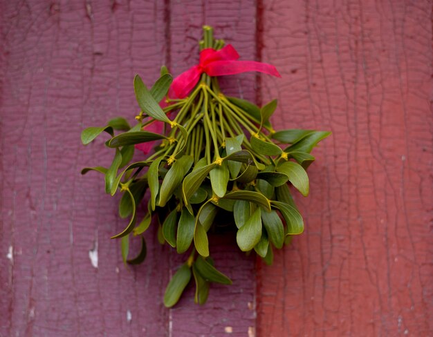 Christmas green mistletoe hanged on the old cracked door.