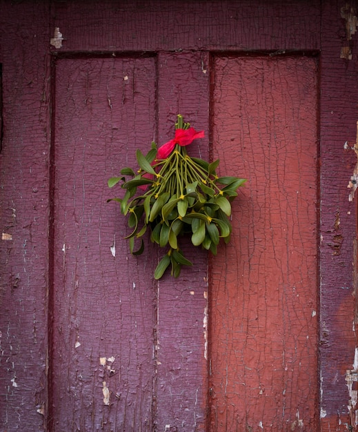 Christmas green mistletoe hanged on the old cracked door.