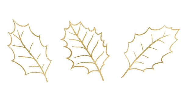 Christmas hand drawn holly berry leaves silhouette golden outlines Holidays design Illustration