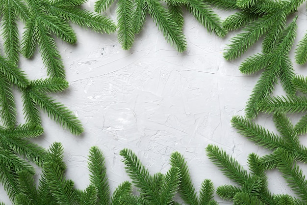 Christmas holiday background with copy space for advertising text. Fir branches on color background . Flat lay, top view