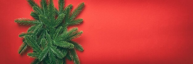 Christmas holiday background with copy space for advertising text Fir branches on color background Flat lay top view