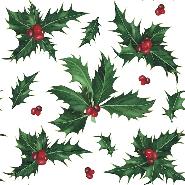 Christmas holly seamless pattern isolated on white background Watercolor hand drawn illustration Art for design