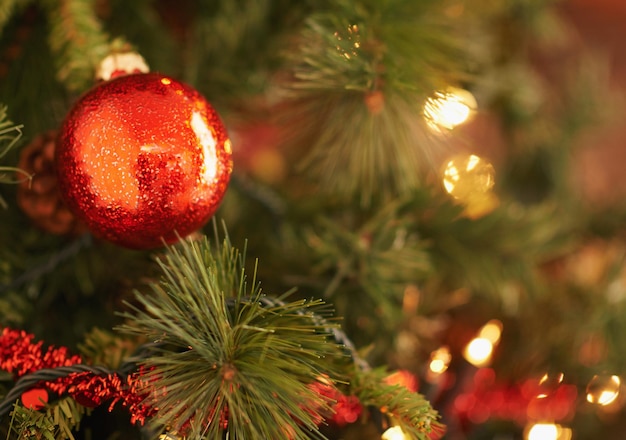 Christmas is love with all the trimmings Closeup shot of christmas ornaments on the tree