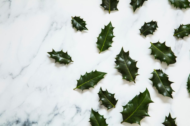 Christmas layout made from festive holly leaves on a white marble background