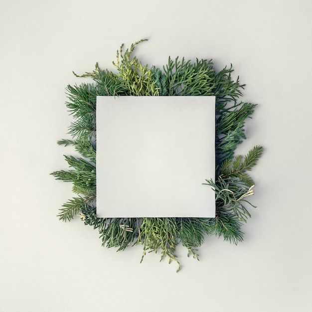 Christmas layout of a square note and spruce and juniper branches on a white background