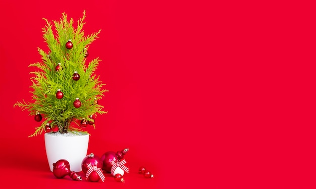 Christmas mockup on red background with a small green Christmas tree copy space