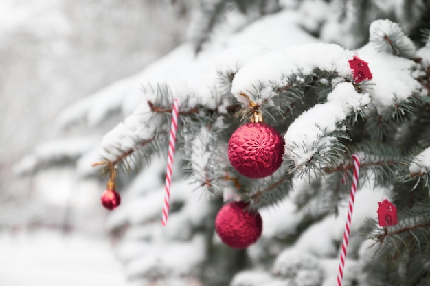 Christmas and New years Holiday web banner background. Template with Xmas balls, snow on fir tree and high lights.