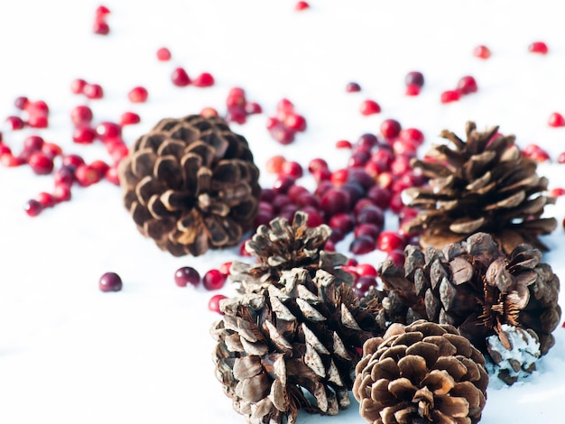 Christmas ornament in the snow with  cranberries.