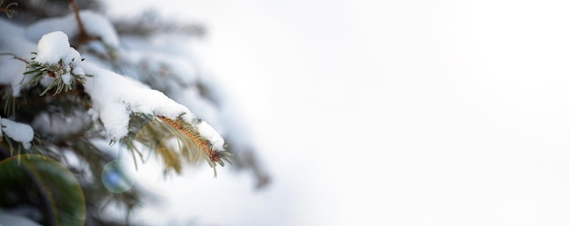 Christmas panoramic mockup