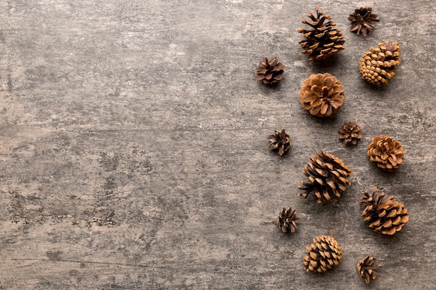 Christmas pine cones on colored paper border composition Christmas New Year winter concept Flat lay top view copy space