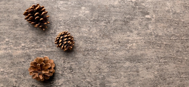 Christmas pine cones on colored paper border composition Christmas New Year winter concept Flat lay top view copy space