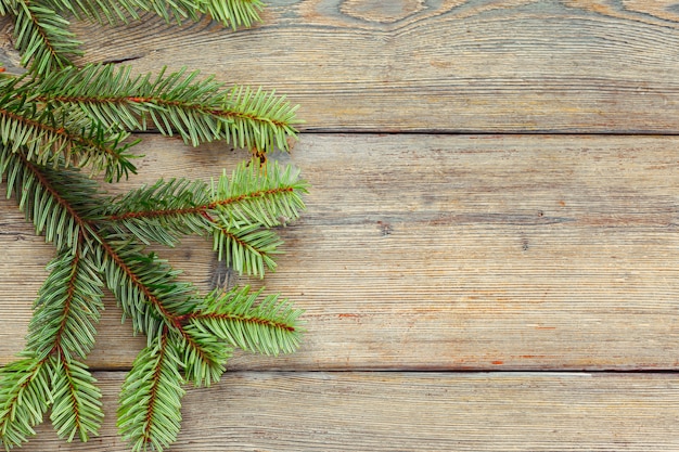 Christmas pine tree branches on wooden board.