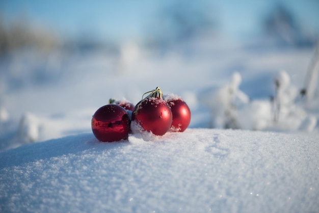 christmas red balls decoration in fresh snow background on beautiful sunny winter day