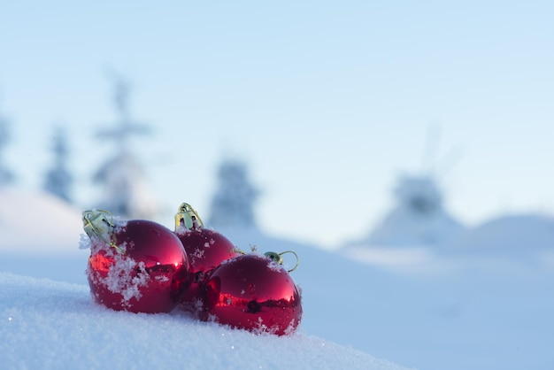 christmas red balls decoration in fresh snow background on beautiful sunny winter day