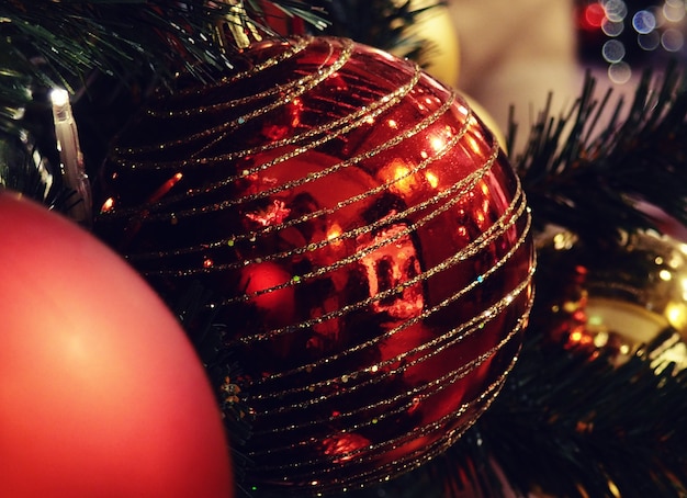 Christmas red balls on fir branches, closeup