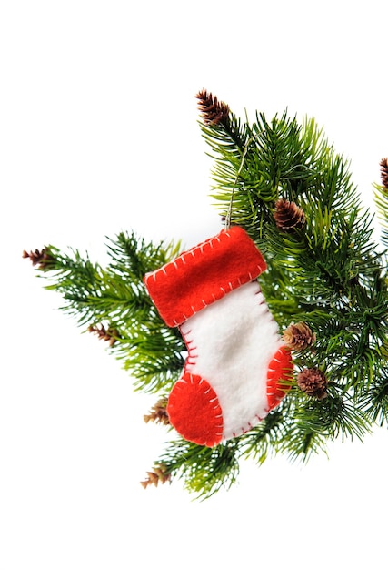 Christmas Sock Santa Claus on the Christmas tree on a white back