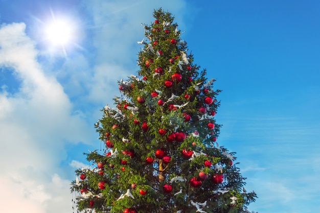 Christmas tree against the day sky sun shine, decorated with red glass balls and pigeon bird toys.