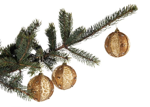 Photo christmas tree branch with adornments, isolated on white