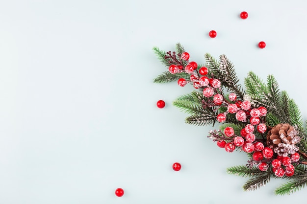 Christmas tree branch with cones and berries on a blue, top view, 