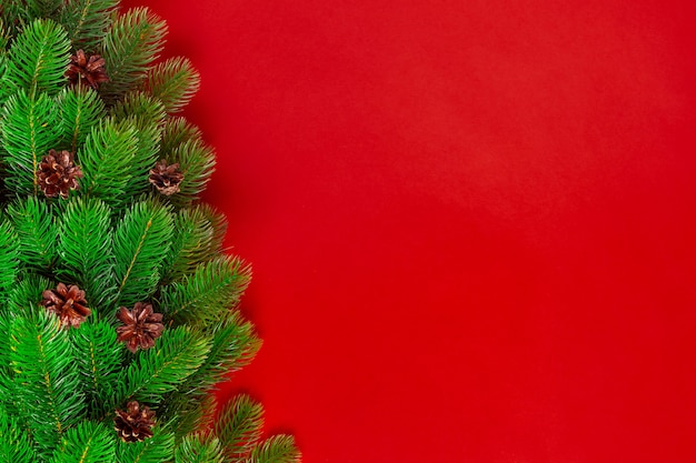 Christmas tree branches with pine cones