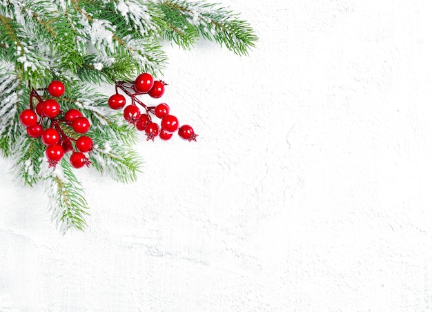 Christmas tree branches with red berries decoration