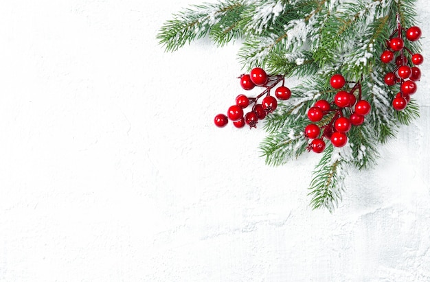 Christmas tree branches with red berries on white background. Holidays decoration