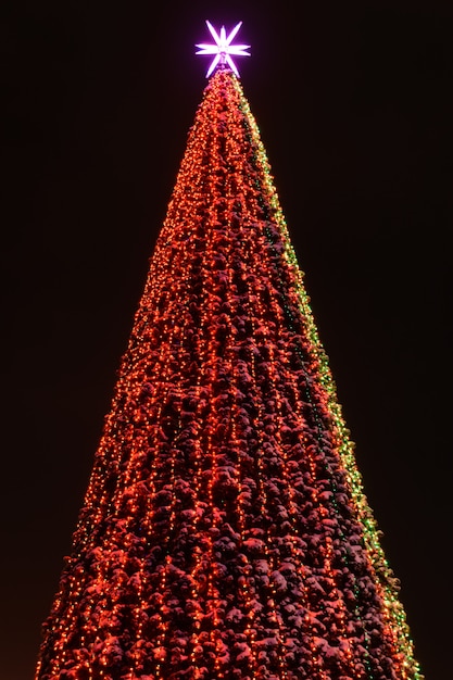 Christmas  Tree Covered Snow with Multicolored Lights at Night on black background.